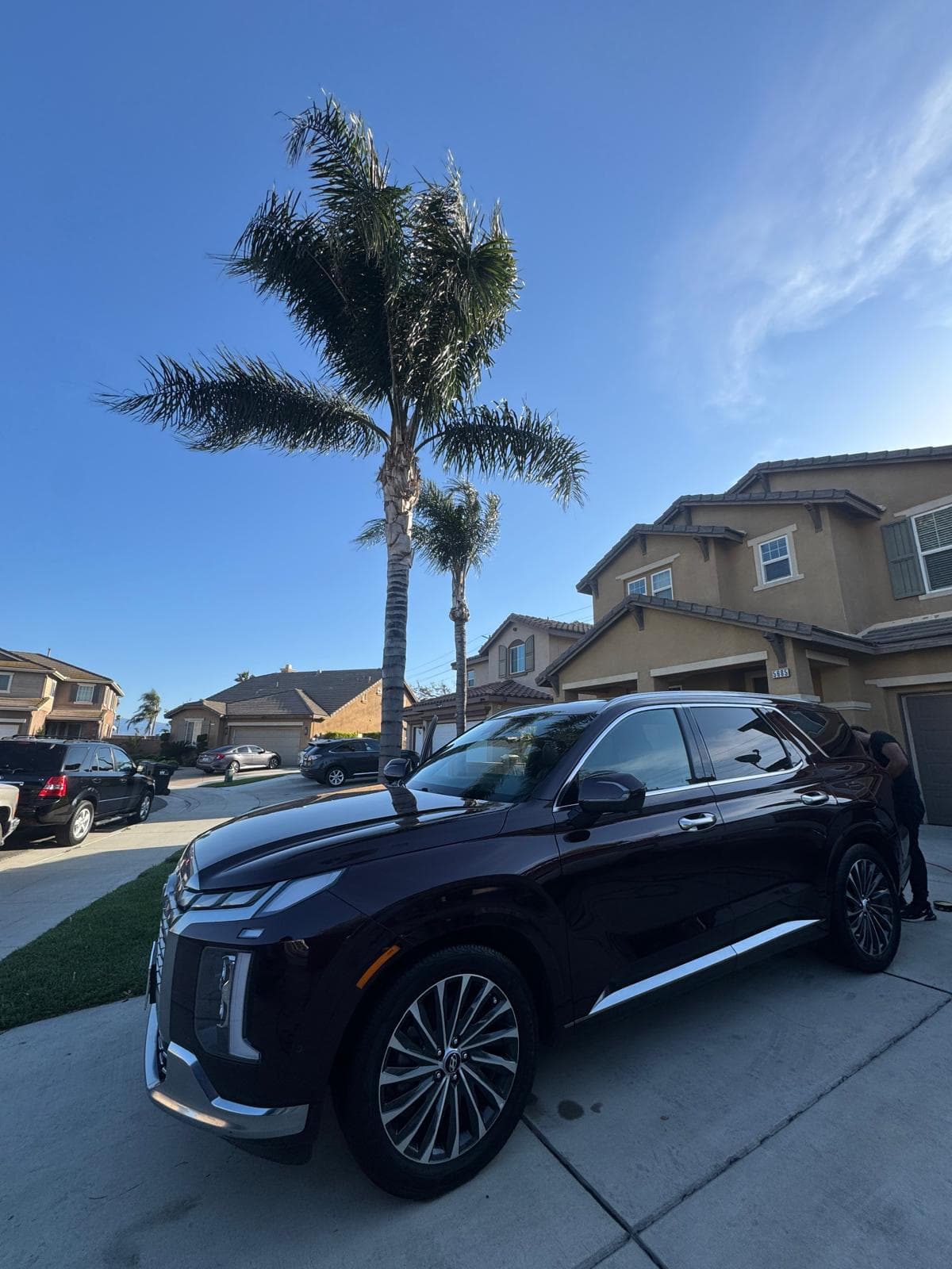 Paint correction and polishing - Fresh Flow Mobile Auto Spa